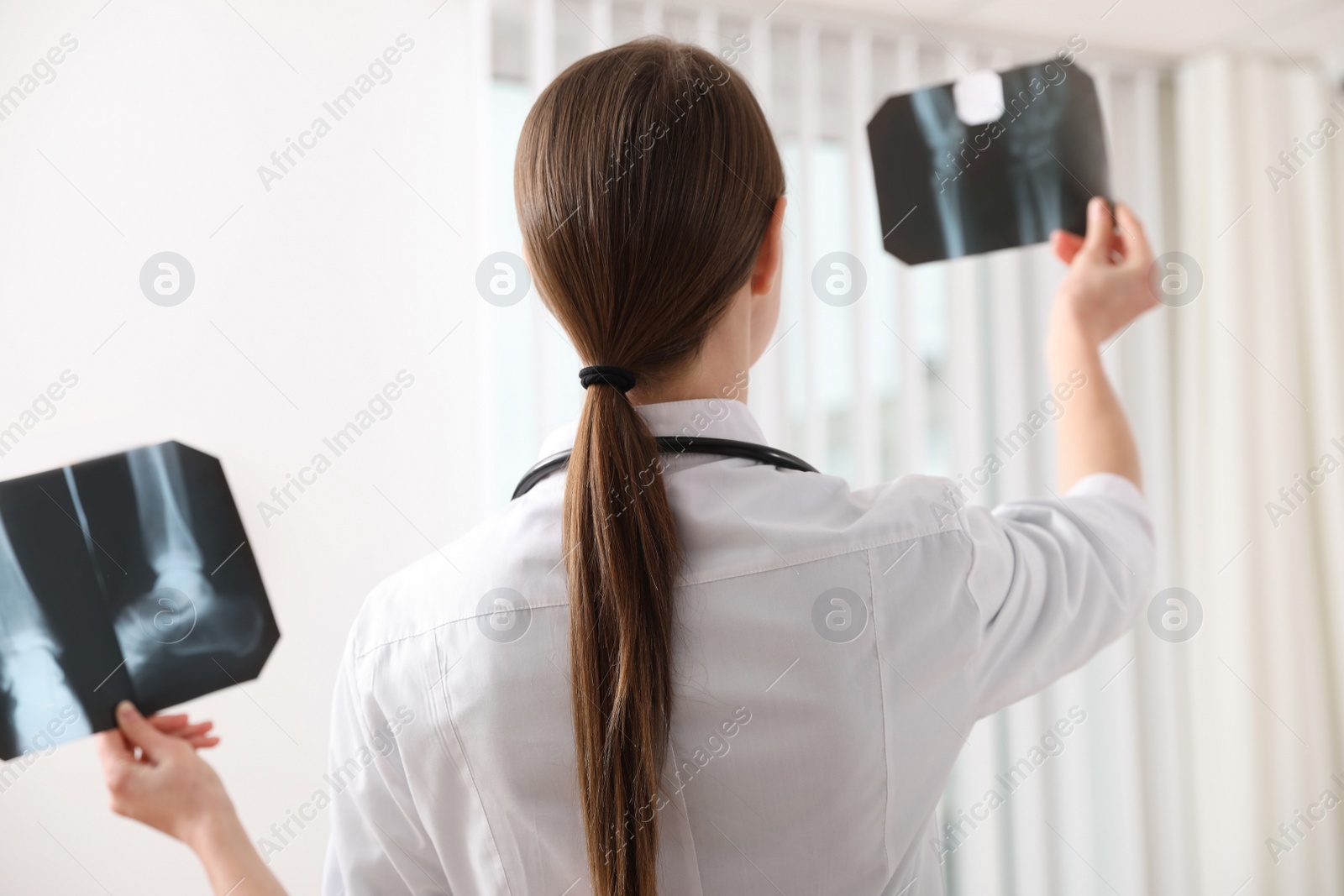 Photo of Orthopedist examining X-ray pictures near window in office