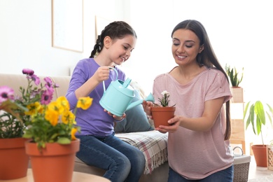 Photo of Mother and daughter watering potted plants at home