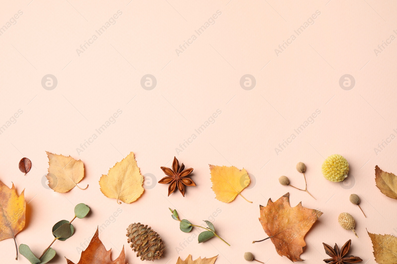 Photo of Flat lay composition with autumn leaves on light background, space for text