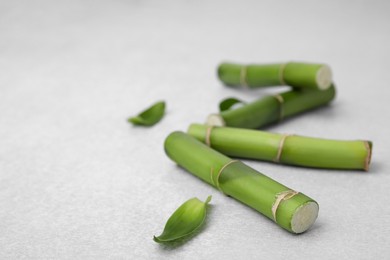 Photo of Pieces of beautiful green bamboo stems on light background, closeup
