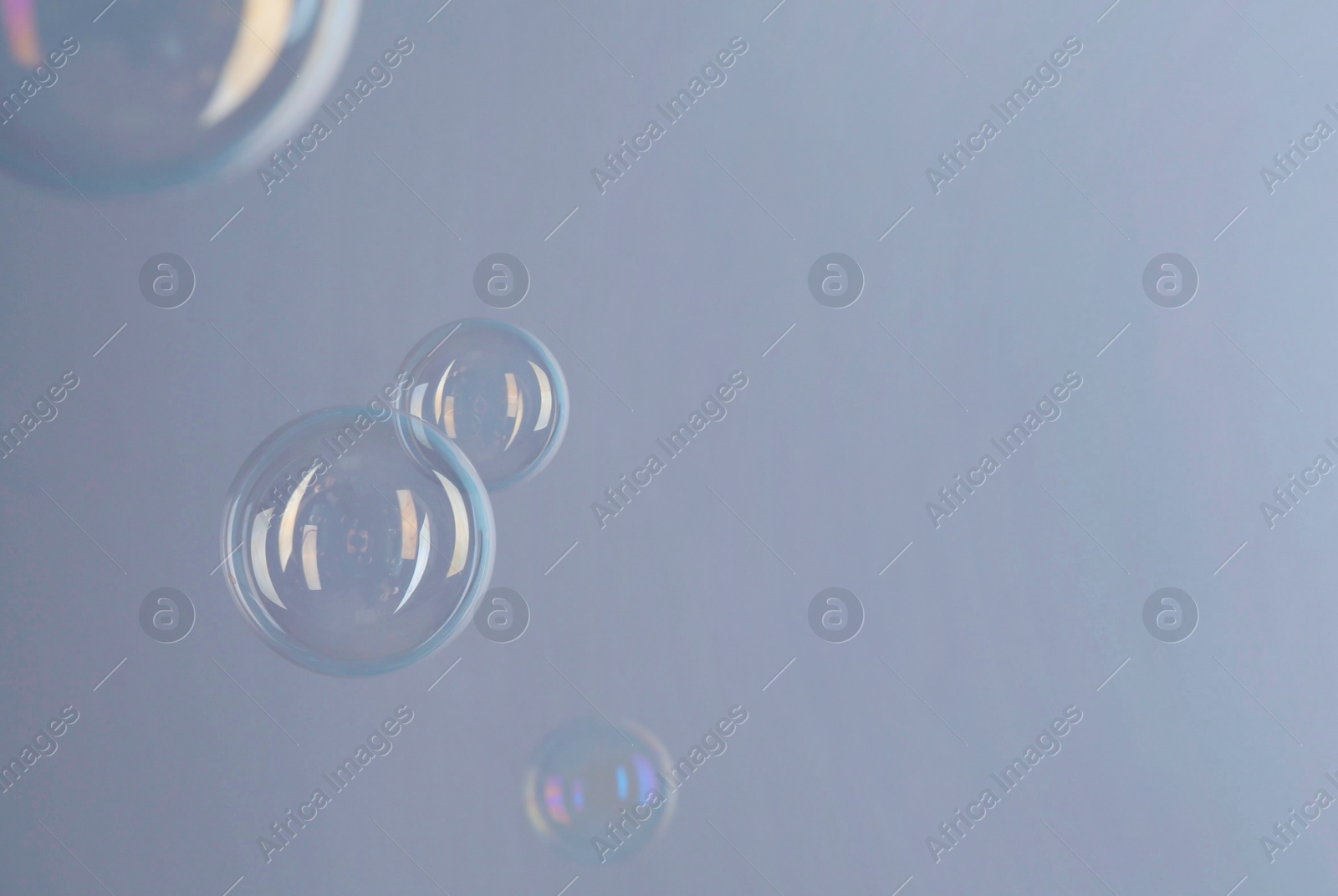 Photo of Beautiful transparent soap bubbles on gray background, space for text