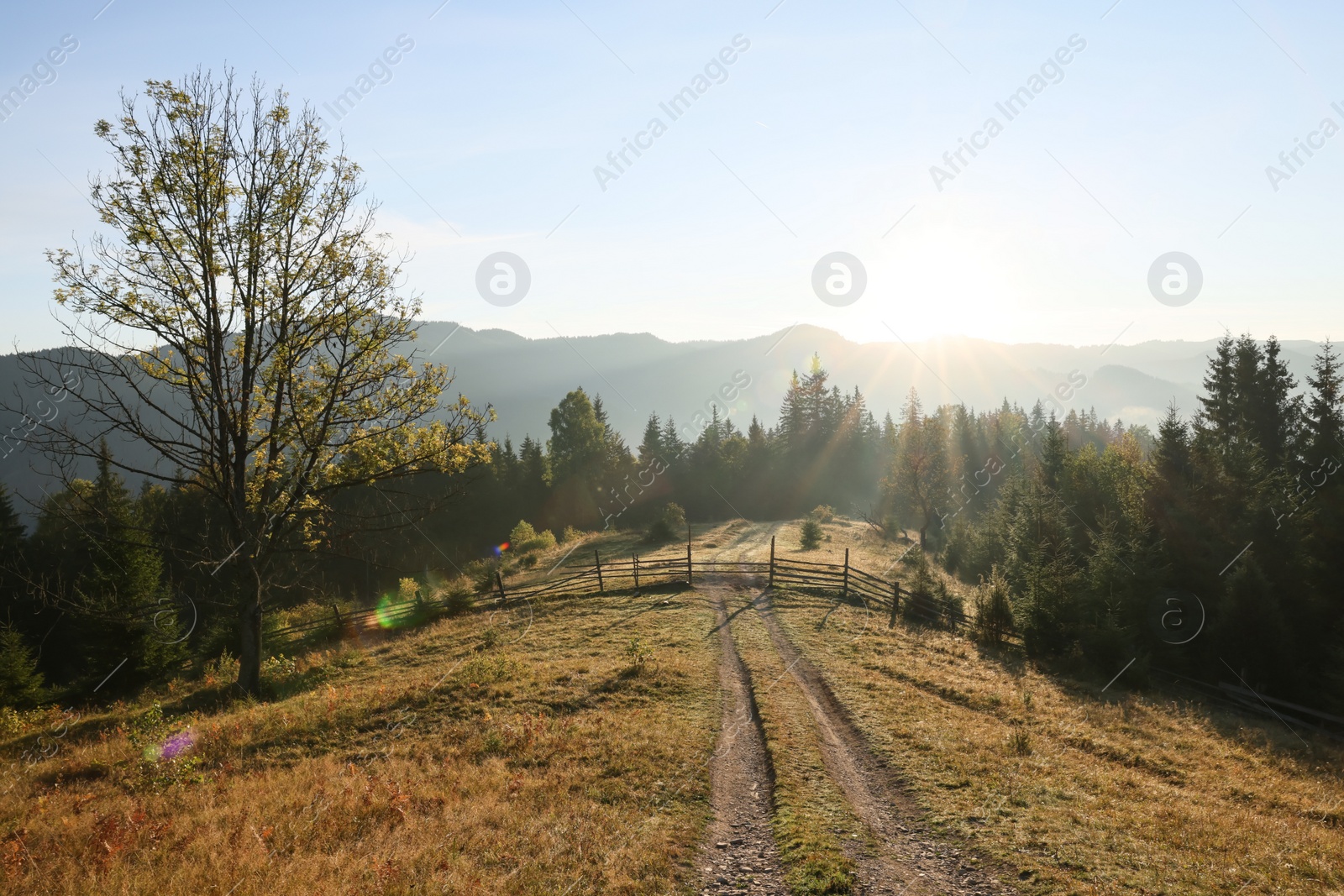 Photo of Picturesque view of countryside landscape with fence on sunny day