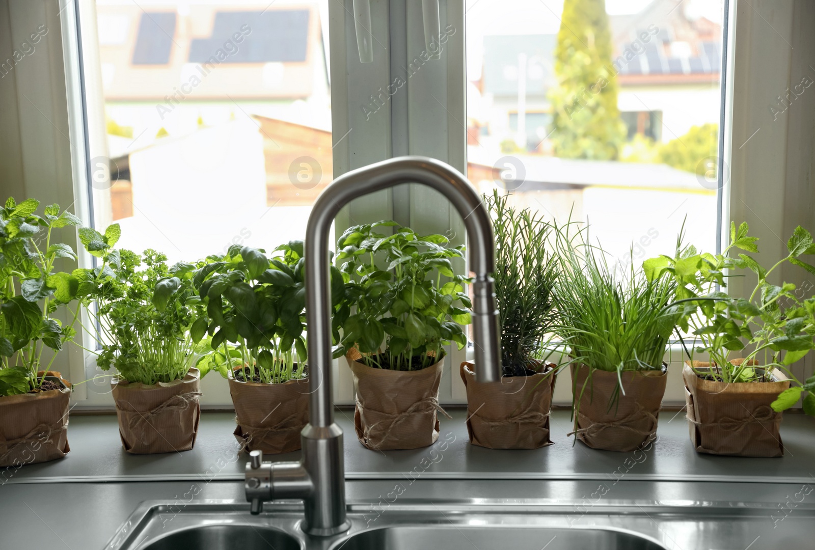 Photo of Different aromatic potted herbs on window sill near kitchen sink