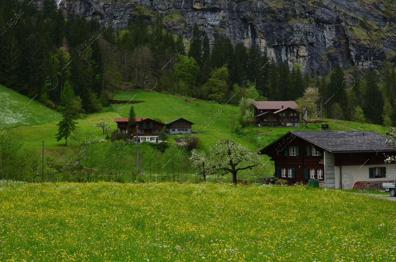 Photo of Picturesque view of village and forest in high mountains