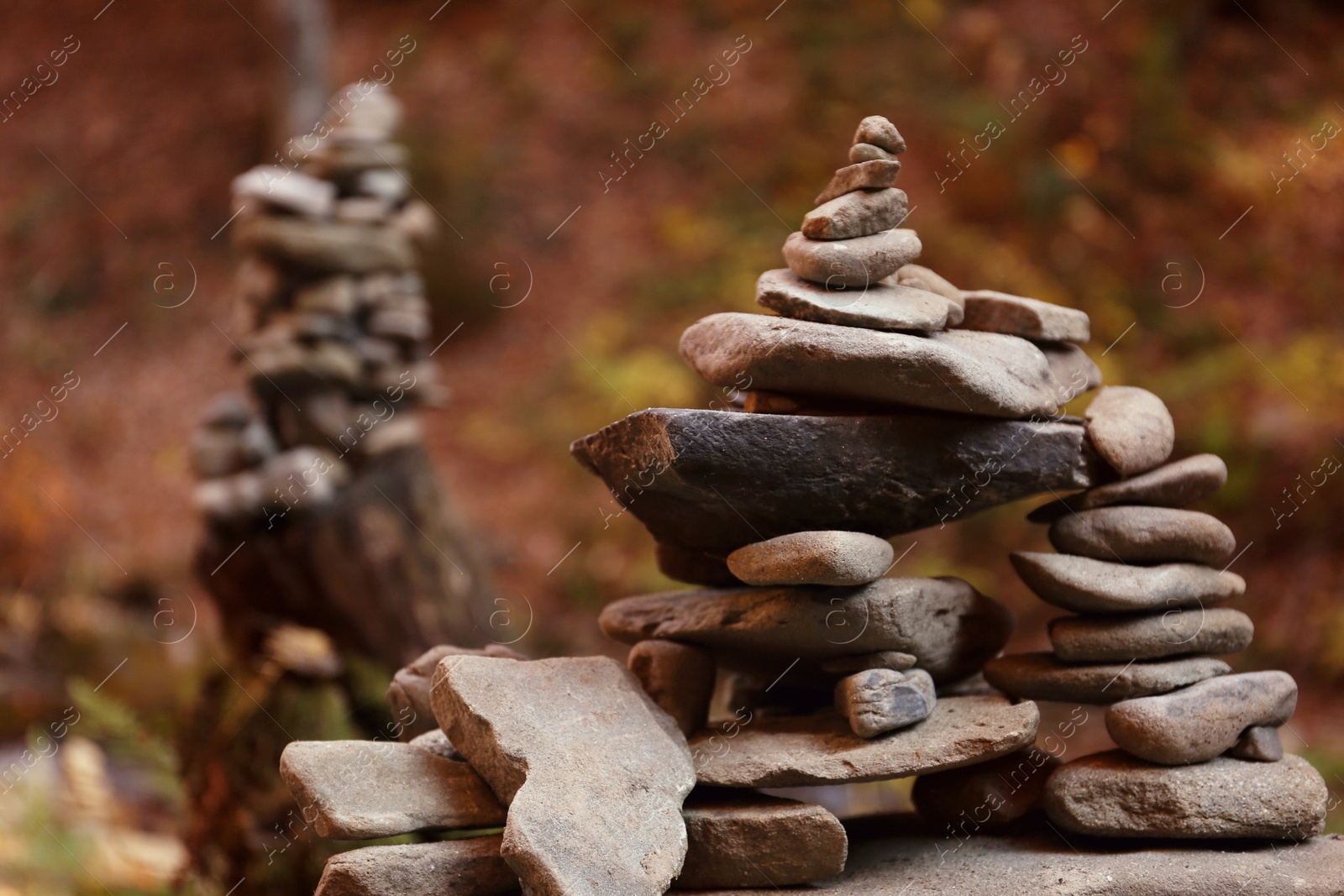 Photo of Stack of stones in forest. Space for text