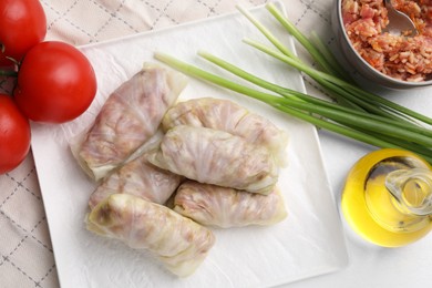 Photo of Uncooked stuffed cabbage rolls and ingredients on table, flat lay