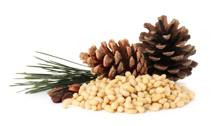 Heap of pine nuts and cones on white background