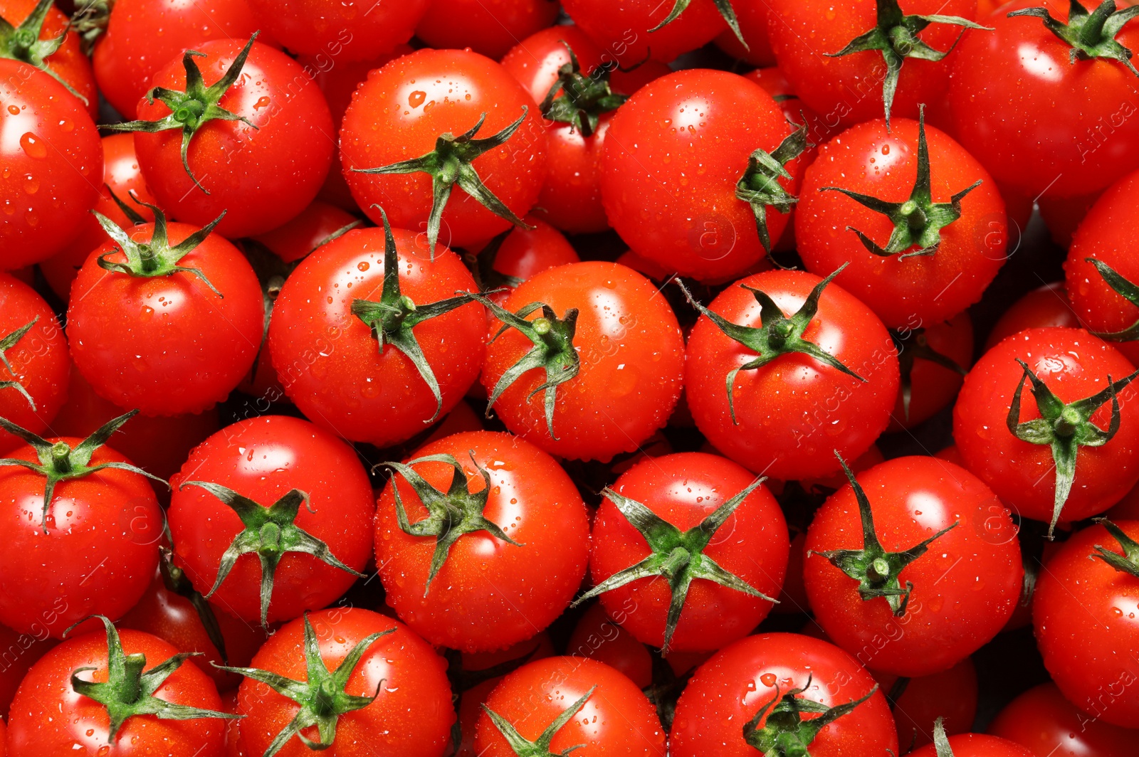 Photo of Delicious ripe cherry tomatoes with water drops as background, top view