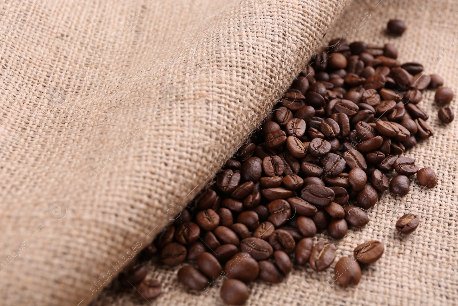 Photo of Many coffee beans on burlap fabric, closeup. Space for text