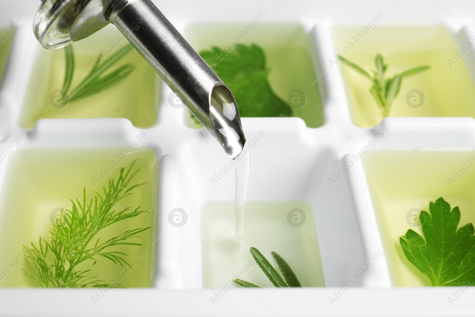 Photo of Pouring oil into ice cube tray with herbs, closeup