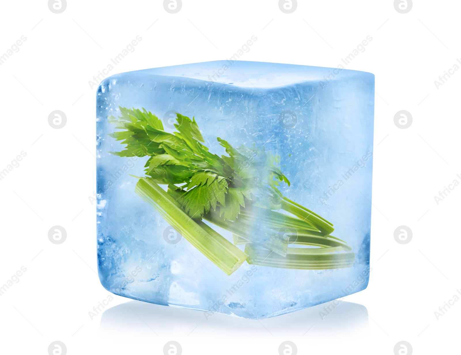 Image of Frozen food. Raw celery in ice cube isolated on white