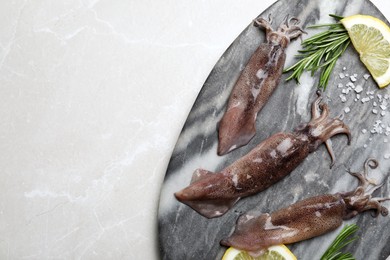 Fresh raw squids with lemon, rosemary and salt on light grey marble table, top view. Space for text