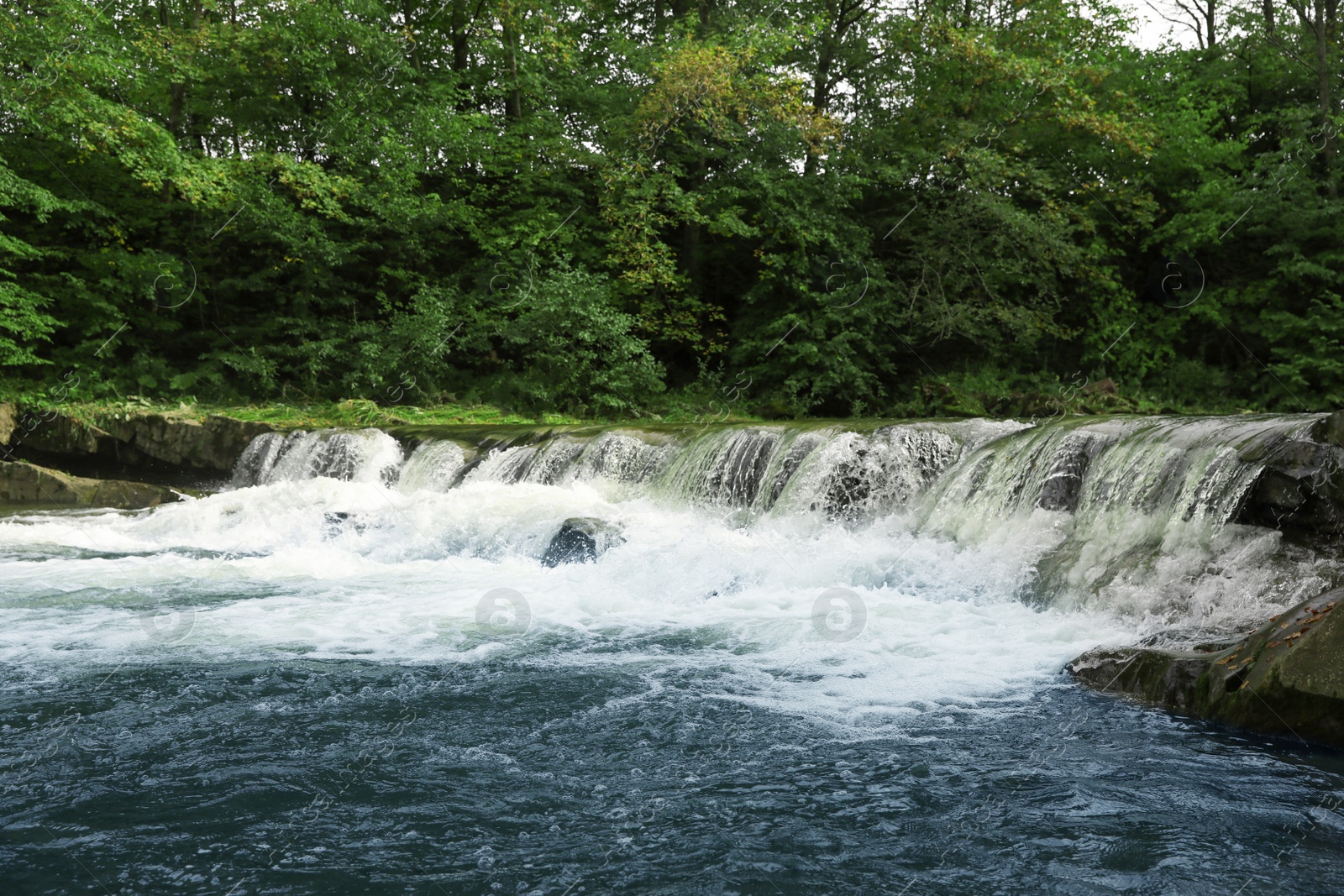 Photo of Picturesque view on river with rapids near forest