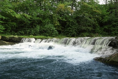 Picturesque view on river with rapids near forest