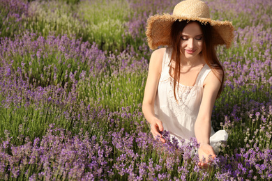 Young woman in lavender field on summer day