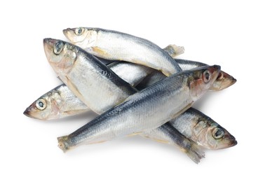 Photo of Fresh raw sprats isolated on white, top view