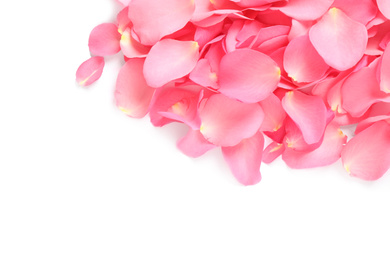 Photo of Pile of fresh pink rose petals on white background, top view