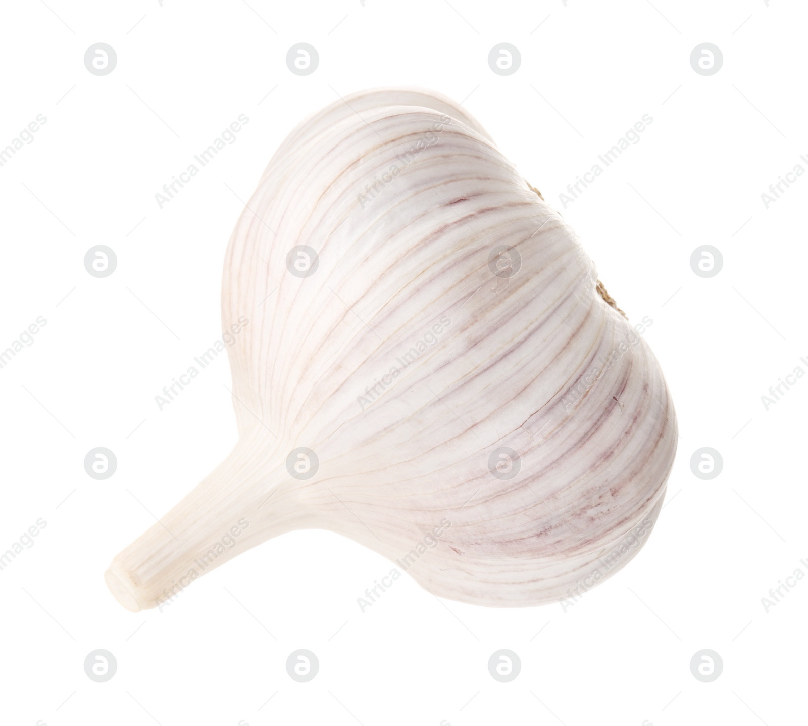 Photo of Unpeeled head of fresh garlic isolated on white