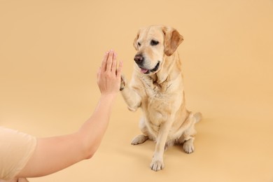 Photo of Cute Labrador Retriever dog giving high five to man on beige background