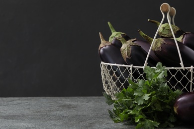 Ripe purple eggplants and parsley on grey table. Space for text