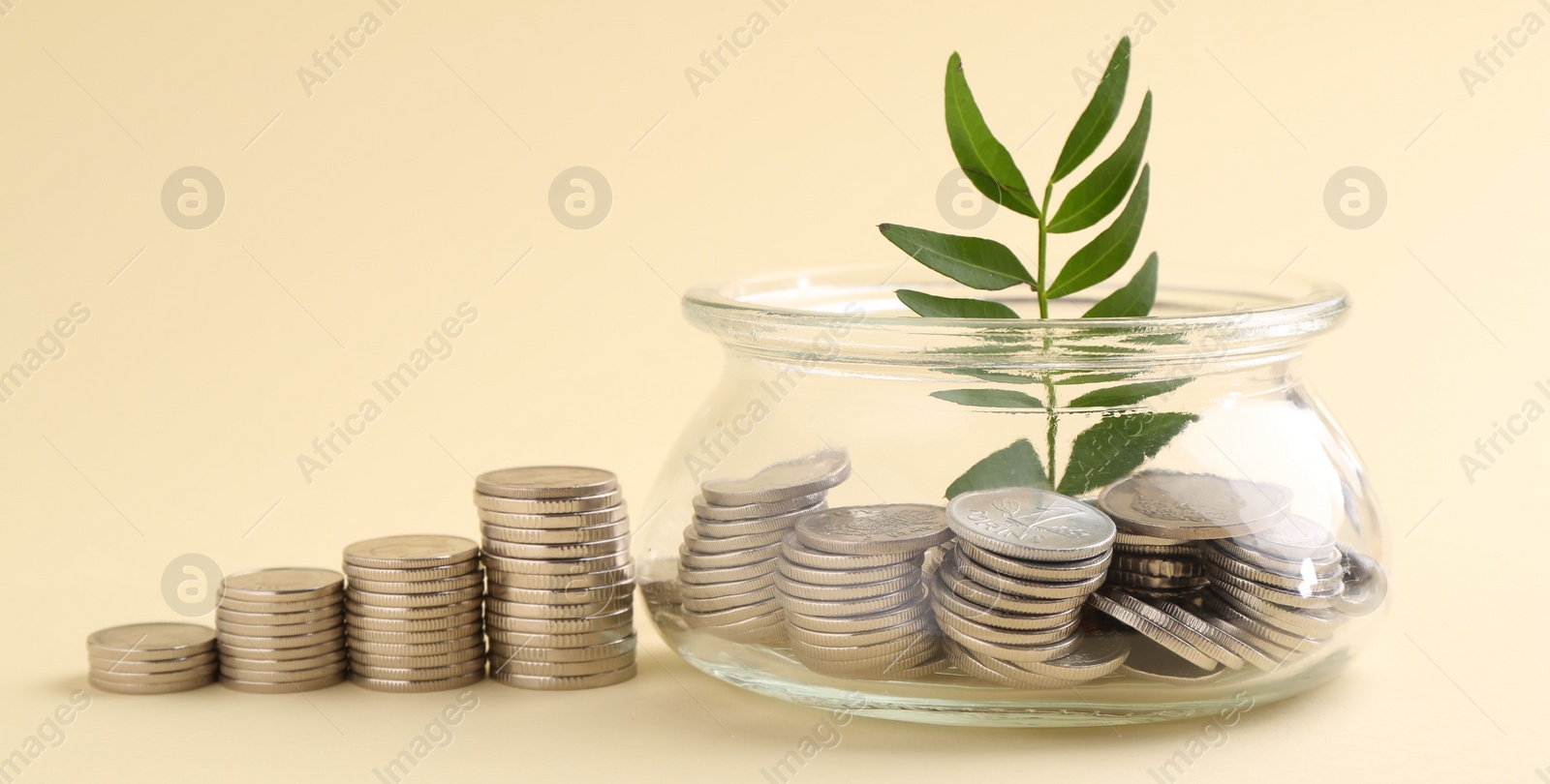 Photo of Financial savings. Coins, twig and glass jar on beige background