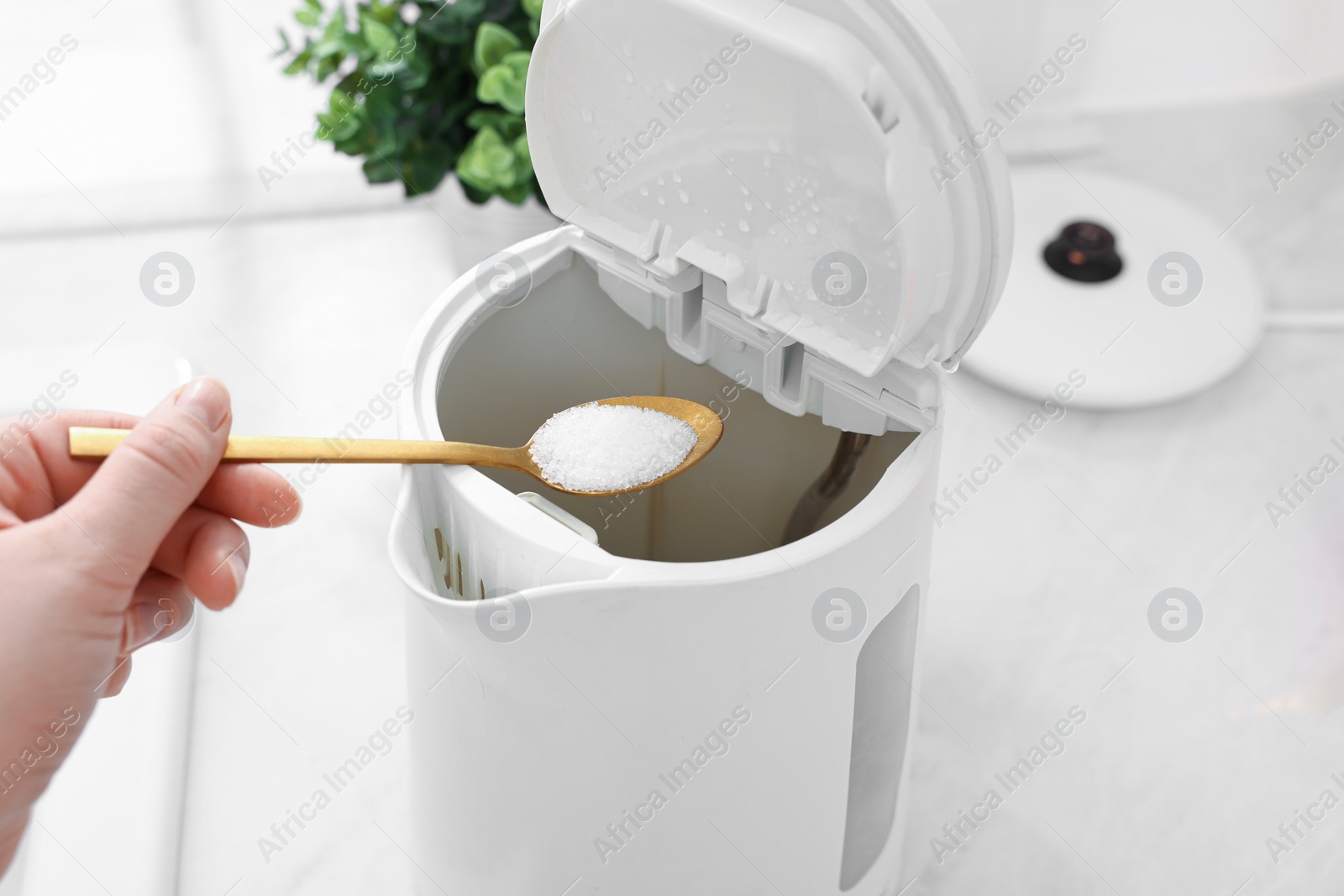 Photo of Cleaning electric kettle. Woman adding baking soda to appliance at table, above view