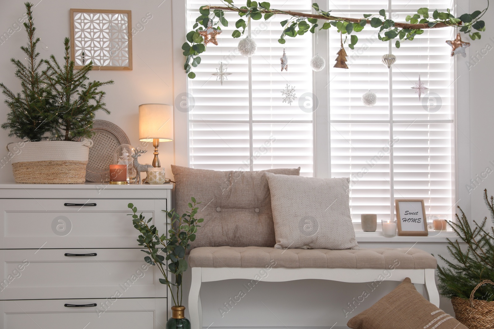 Photo of Beautiful room interior decorated for Christmas with potted firs