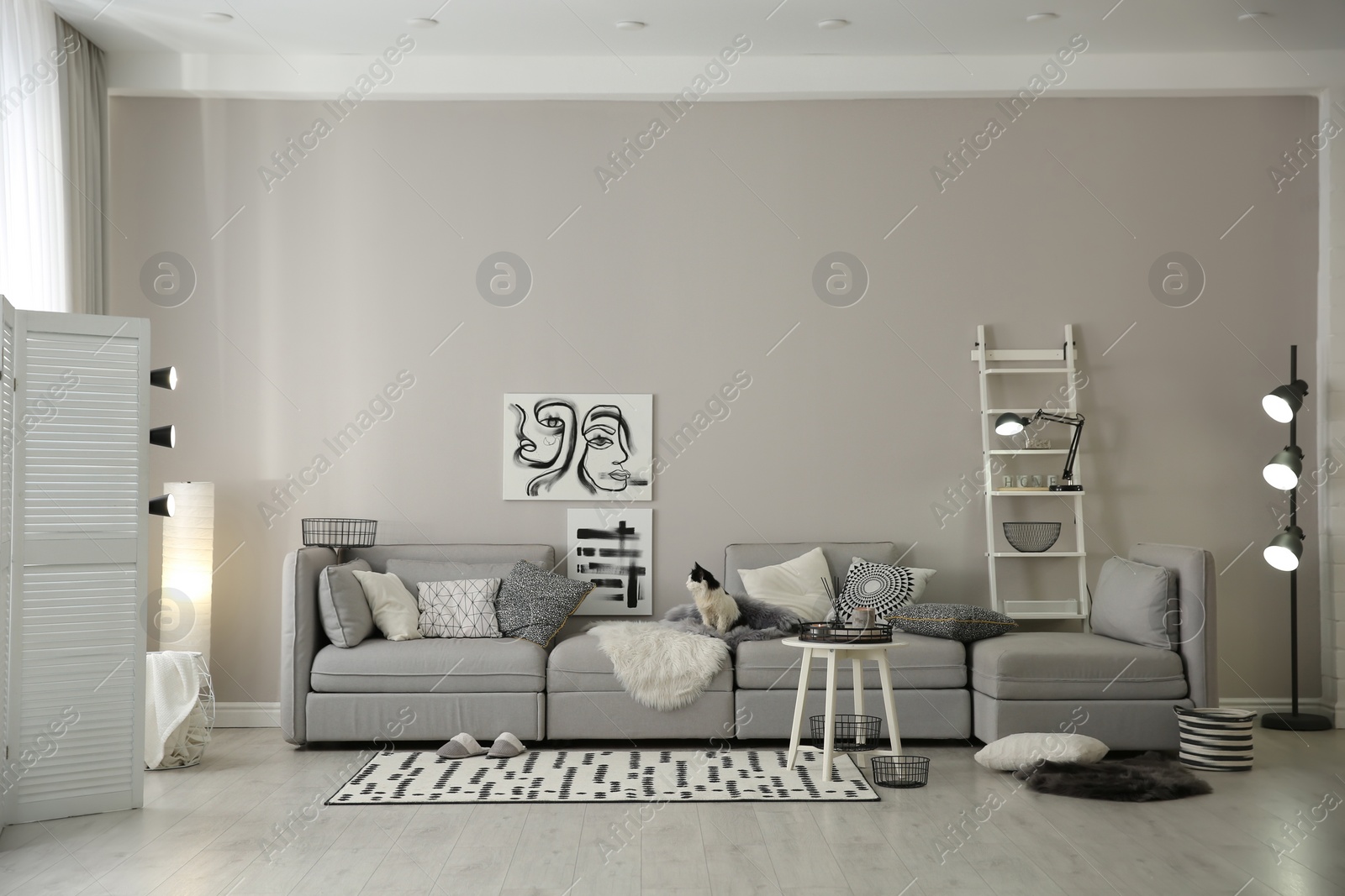 Photo of Cat on big grey sofa in living room. Interior design