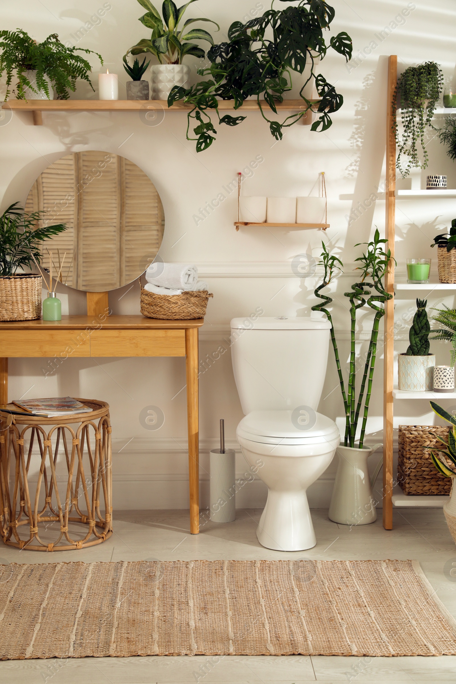 Photo of Stylish bathroom interior with toilet bowl and many beautiful houseplants