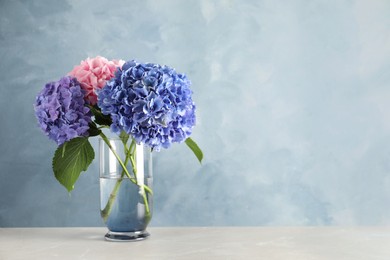 Photo of Vase with beautiful hortensia flowers on light table against color background. Space for text