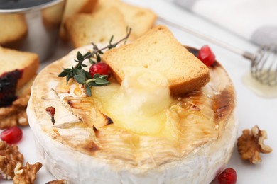 Photo of Tasty baked camembert with crouton, thyme, walnuts and pomegranate seeds on white table, closeup