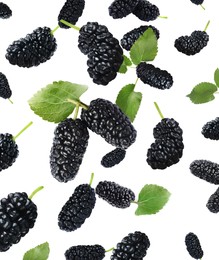 Image of Fresh ripe black mulberries and green leaves falling on white background