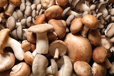 Different fresh wild mushrooms as background, closeup