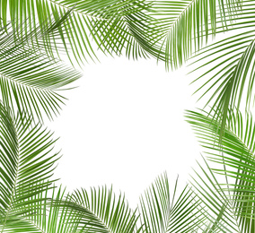 Frame made of beautiful lush tropical leaves on white background. Space for text