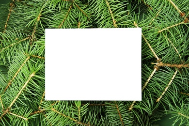 Photo of Blank card on branches of Christmas tree, top view