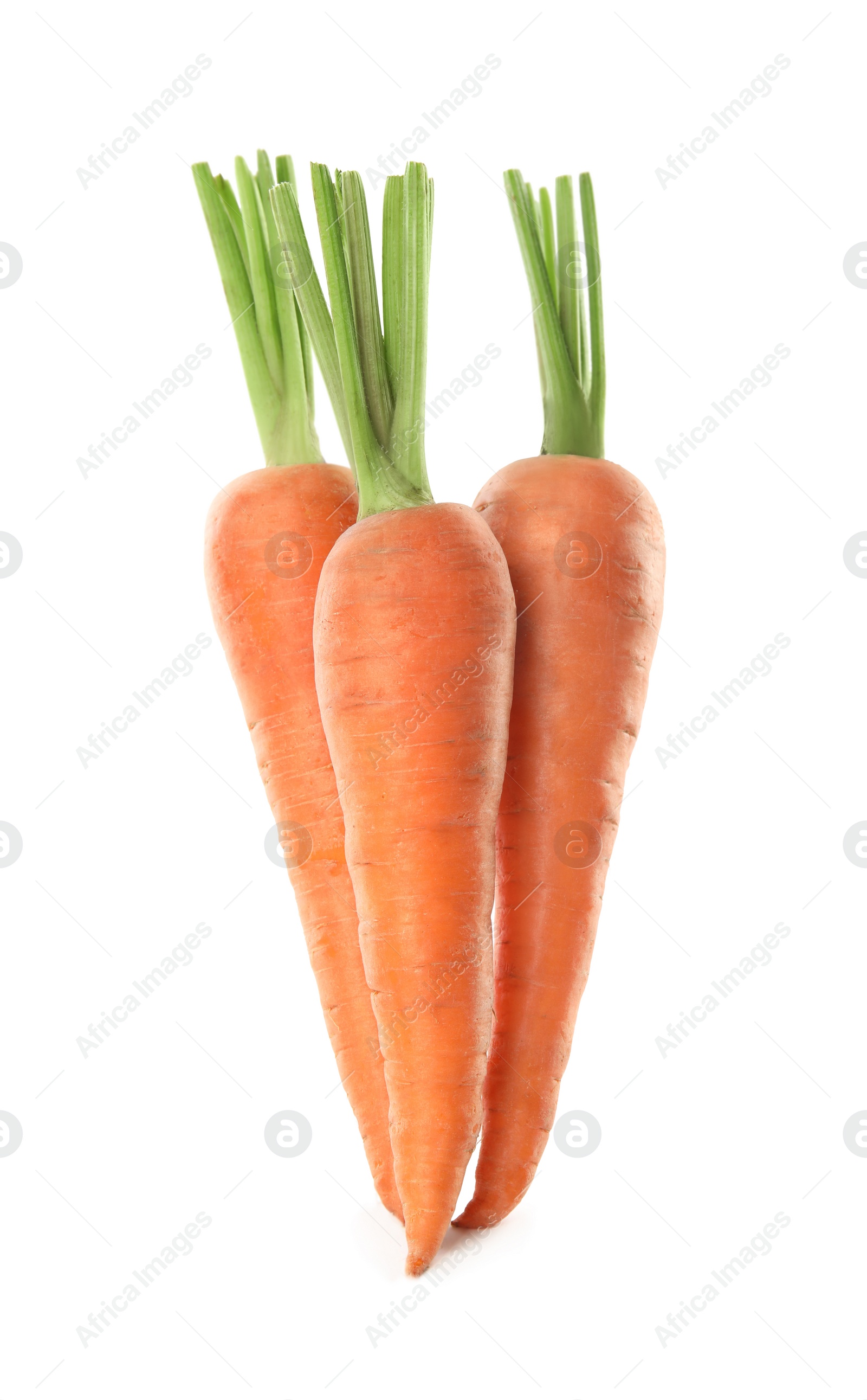 Photo of Fresh ripe juicy carrots isolated on white