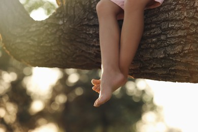 Little girl sitting on tree outdoors, closeup. Child spending time in nature