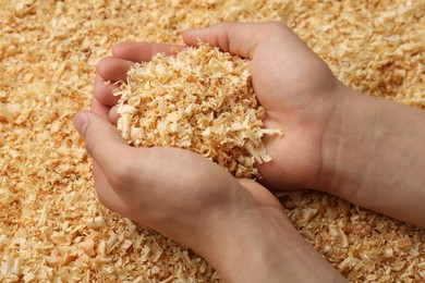 Photo of Woman holding dry natural sawdust, closeup view