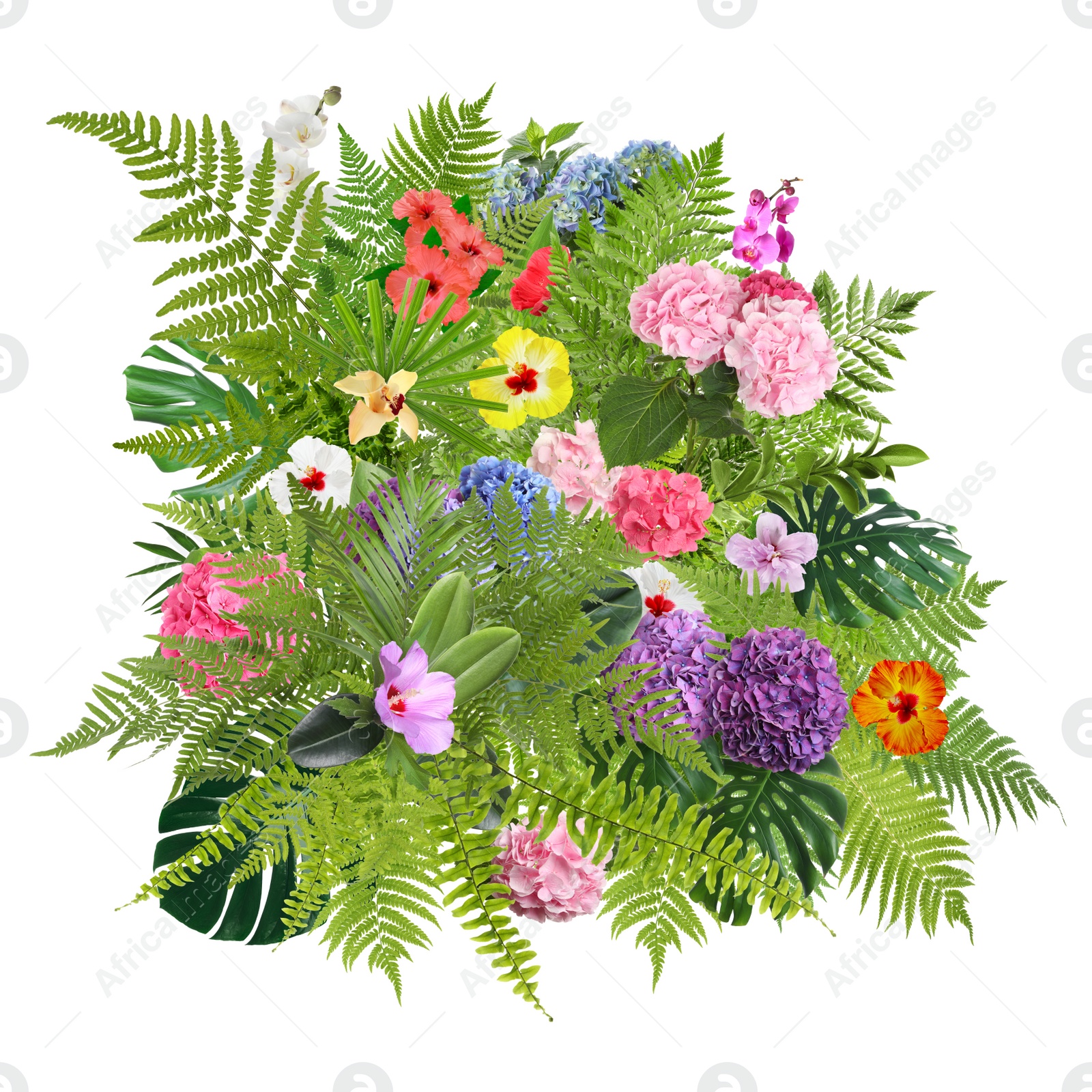 Image of Beautiful composition with tropical leaves and flowers on white background