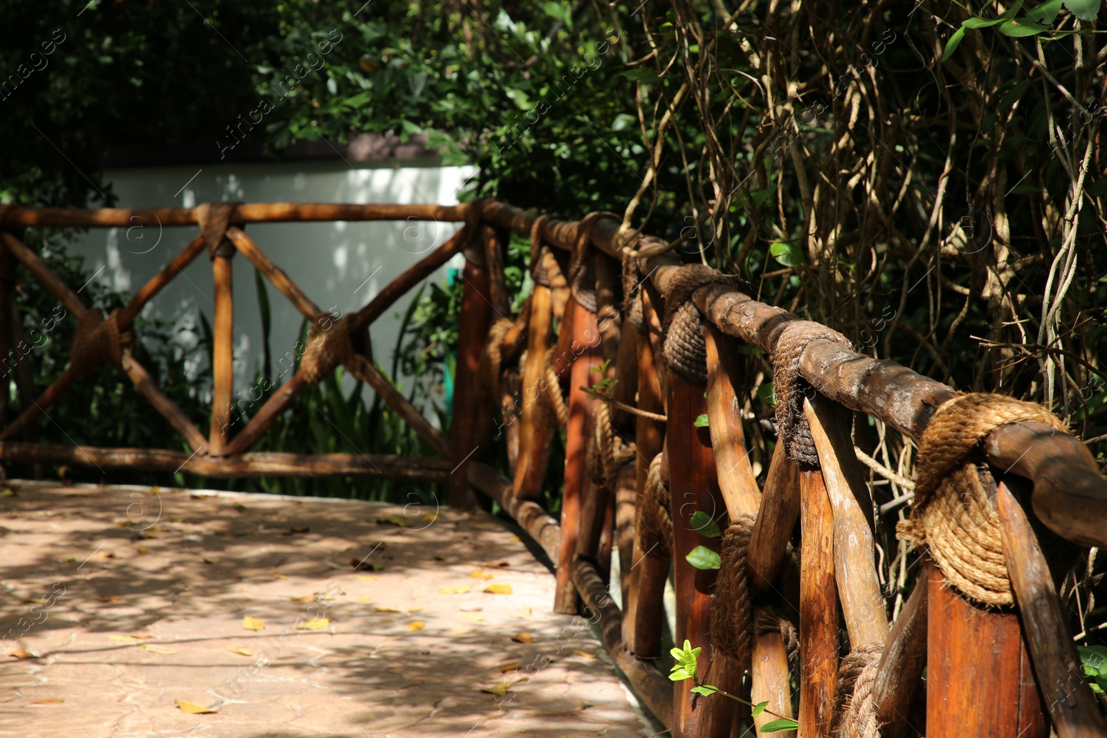 Photo of Wooden railing and beautiful exotic plants growing in tropical jungle on sunny day