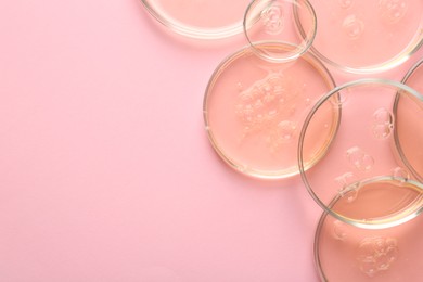 Photo of Petri dishes with liquid samples on pink background, flat lay. Space for text