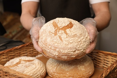 Photo of Professional baker holding loaf of bread over tray in store, closeup