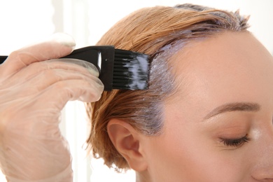 Young woman applying hair dye on roots against light background, closeup