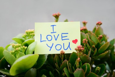 Photo of Note with handwritten text I Love You among beautiful plants against blurred background