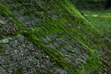 Photo of Stone wall overgrown with green moss outdoors