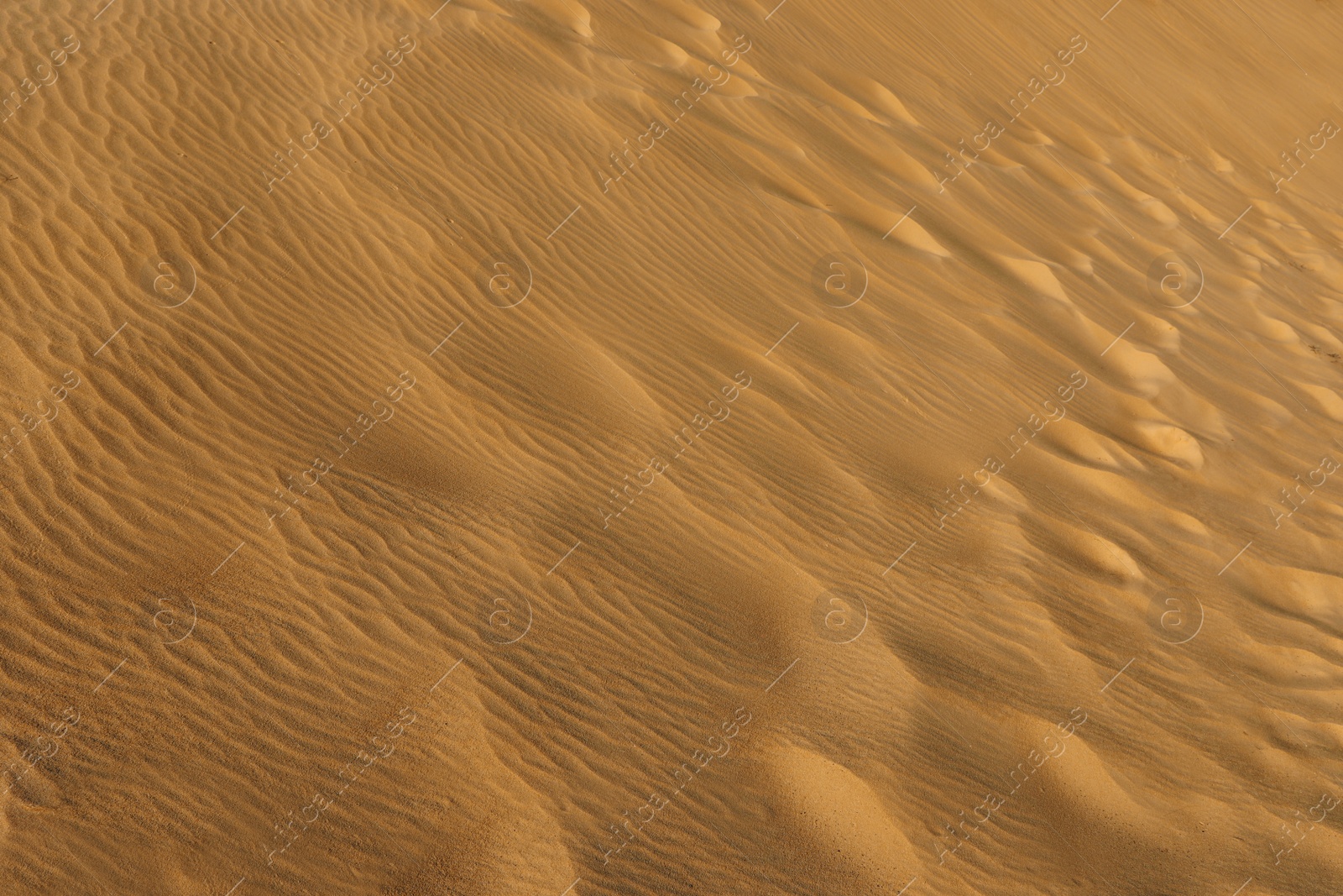 Photo of Closeup view of sand dune in desert as background