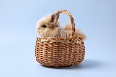 Photo of Cute little rabbit in wicker basket on light blue background