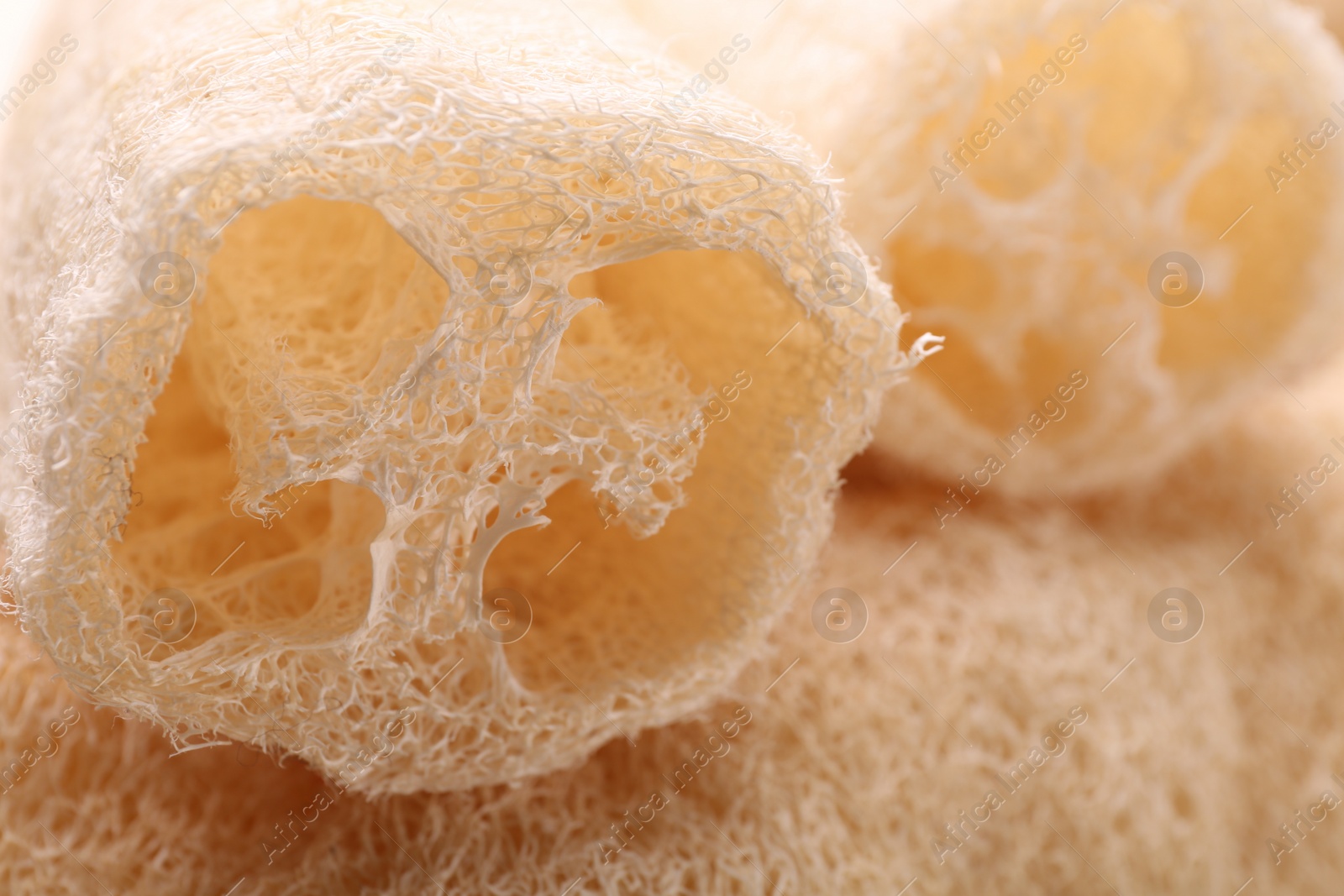 Photo of Natural loofah sponges as background, closeup view