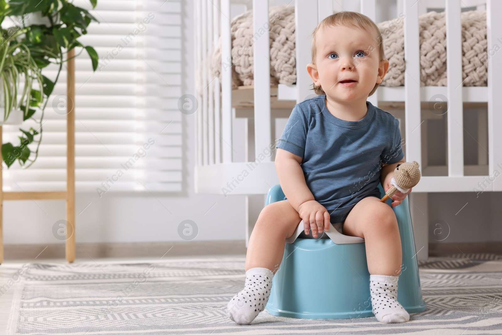 Photo of Little child sitting on plastic baby potty indoors. Space for text