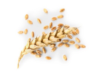 Photo of Pile of wheat grains and spike on white background, top view